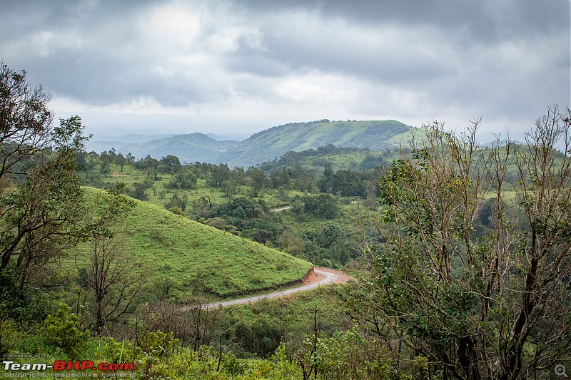 Chikmagalur: Driving through Coffee Country, with the windows down-dsc_0506.jpg