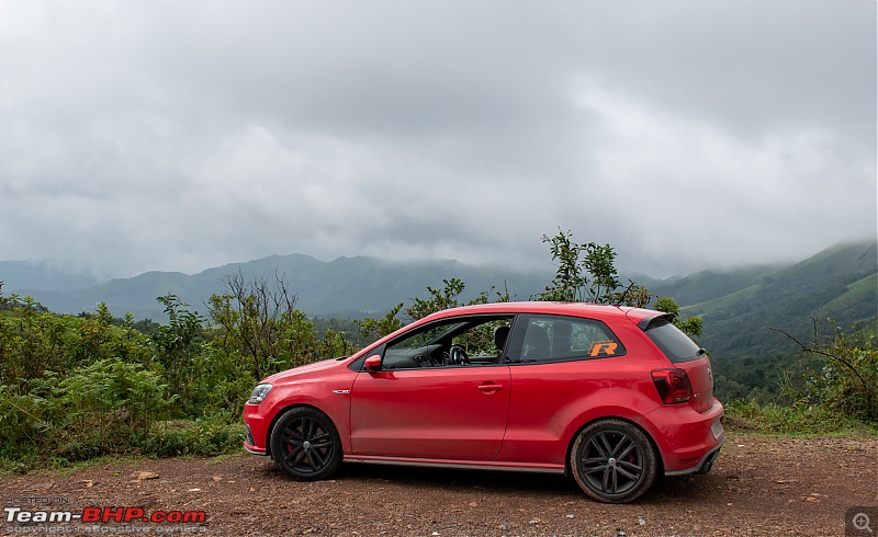 Chikmagalur: Driving through Coffee Country, with the windows down-dsc_0555.jpg