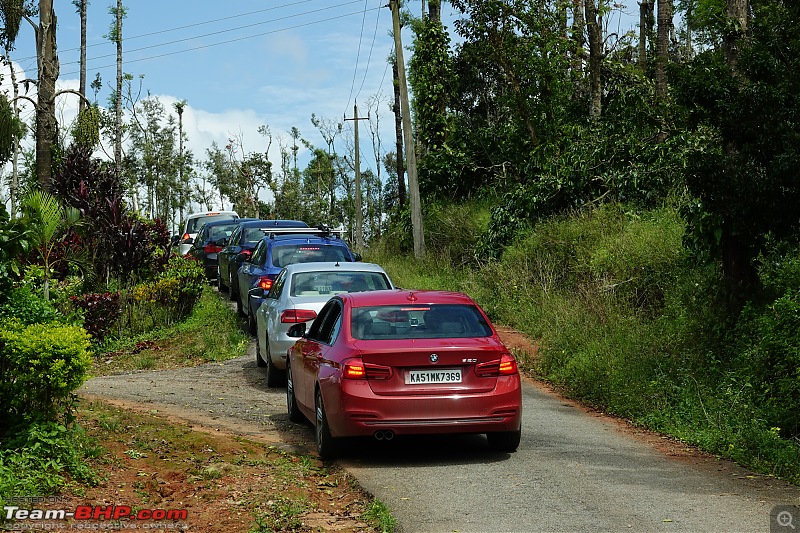 Chikmagalur: Driving through Coffee Country, with the windows down-dsc02983.jpg