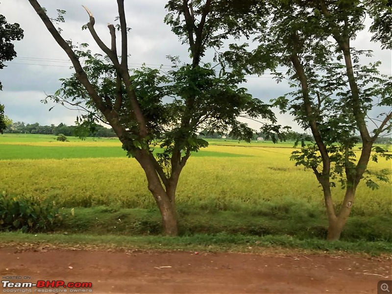 Drive to Scenic Massanjore & Serene Shantiniketan. EDIT: 2022 visit updates-001.-nh2-green.jpg