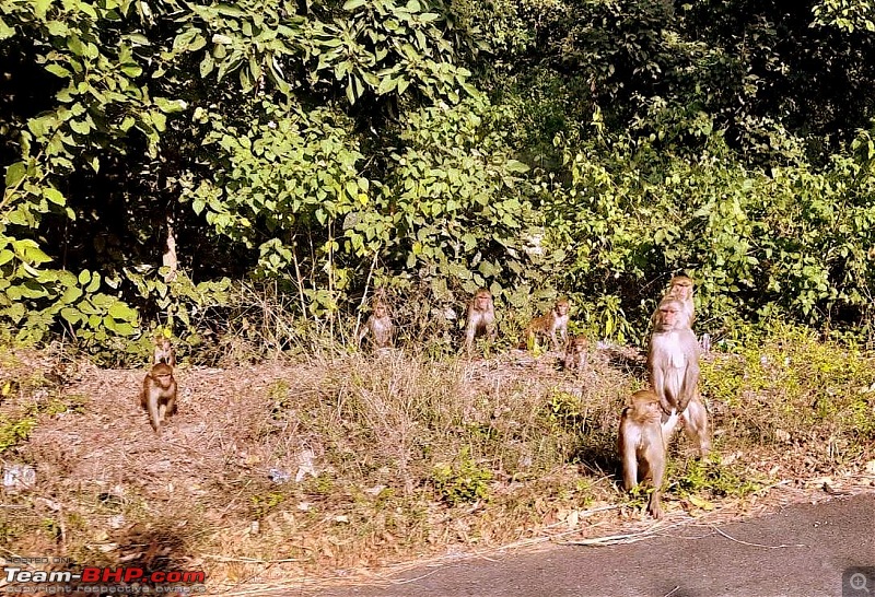 Ciazzler Roadtrip | Celebrating a COVID-free Durga Puja 2020 near Dehradun-route-9.jpg