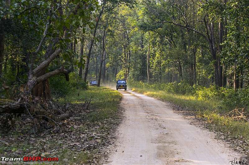 Forests, hills & more! Our road-trip to Madhya Pradesh from Kolkata-img_3738.jpg