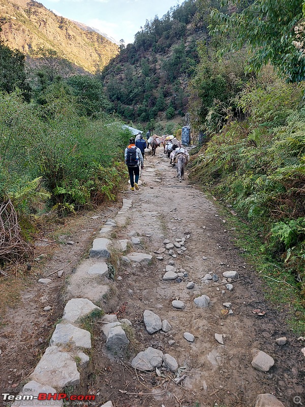 Trek to Pindari Glacier-20201111_072909.jpg