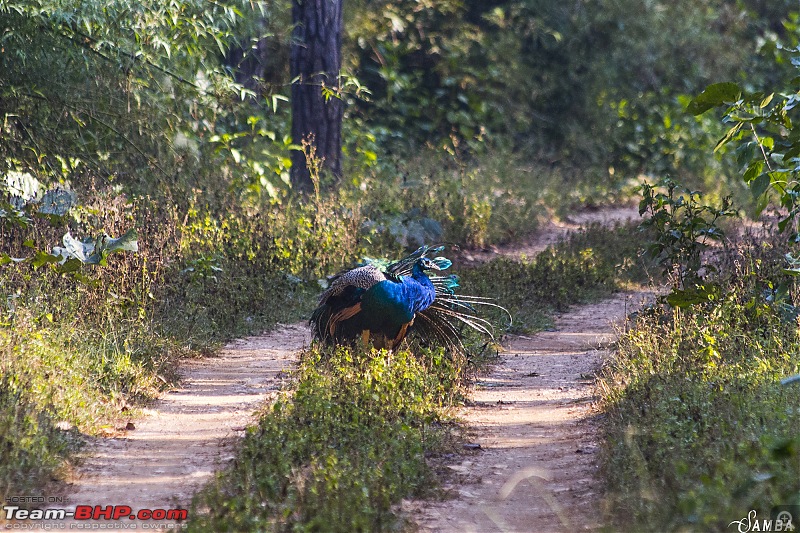 Forests, hills & more! Our road-trip to Madhya Pradesh from Kolkata-img_3884.jpg