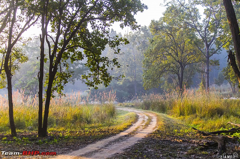 Forests, hills & more! Our road-trip to Madhya Pradesh from Kolkata-img_4057.jpg