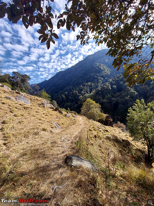 Trek to Pindari Glacier-20201111_094524.jpg