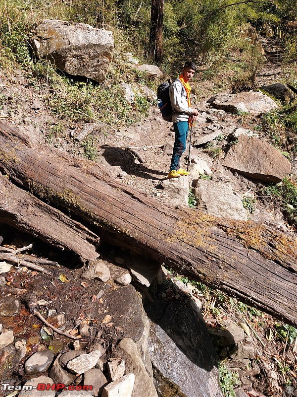 Trek to Pindari Glacier-20201111_100240.jpg