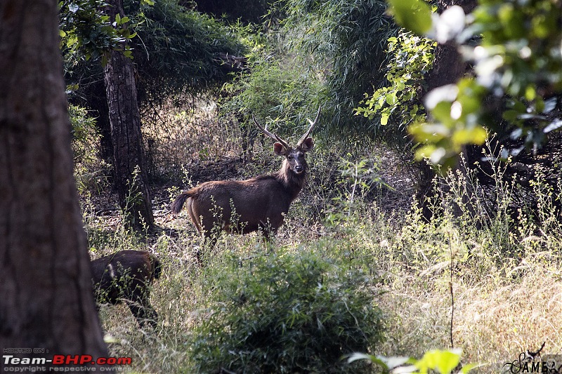 Forests, hills & more! Our road-trip to Madhya Pradesh from Kolkata-img_4682.jpg