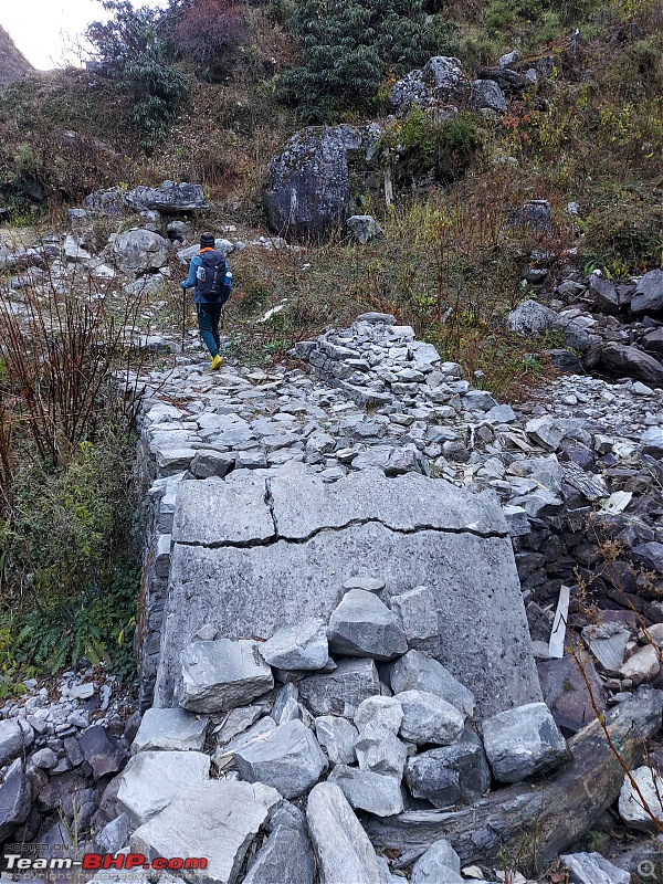 Trek to Pindari Glacier-20201112_074024.jpg