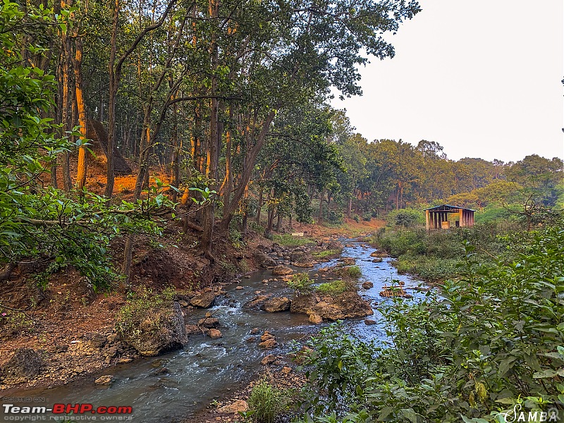 Forests, hills & more! Our road-trip to Madhya Pradesh from Kolkata-img_4855a.jpg