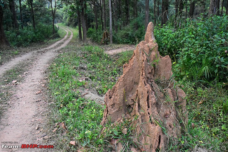 Forests, hills & more! Our road-trip to Madhya Pradesh from Kolkata-dsc_7701.jpg