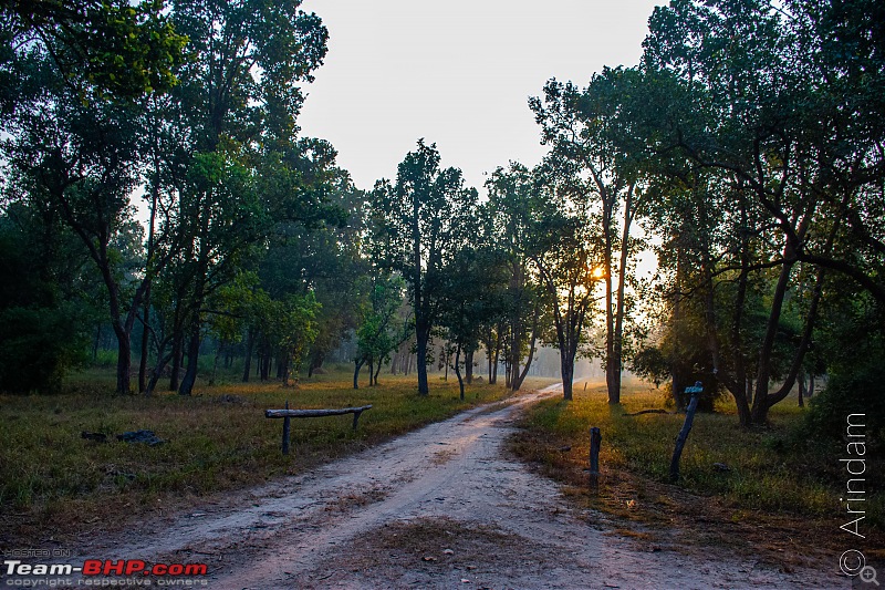 Forests, hills & more! Our road-trip to Madhya Pradesh from Kolkata-dsc_8042.jpg