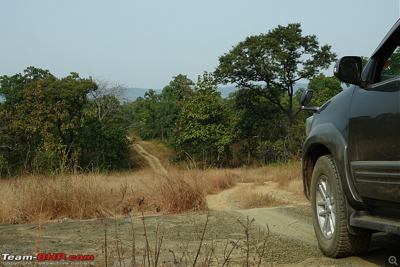 Diwali drive in a Toyota Fortuner - Bangalore to Delhi!-dsc05703.jpg