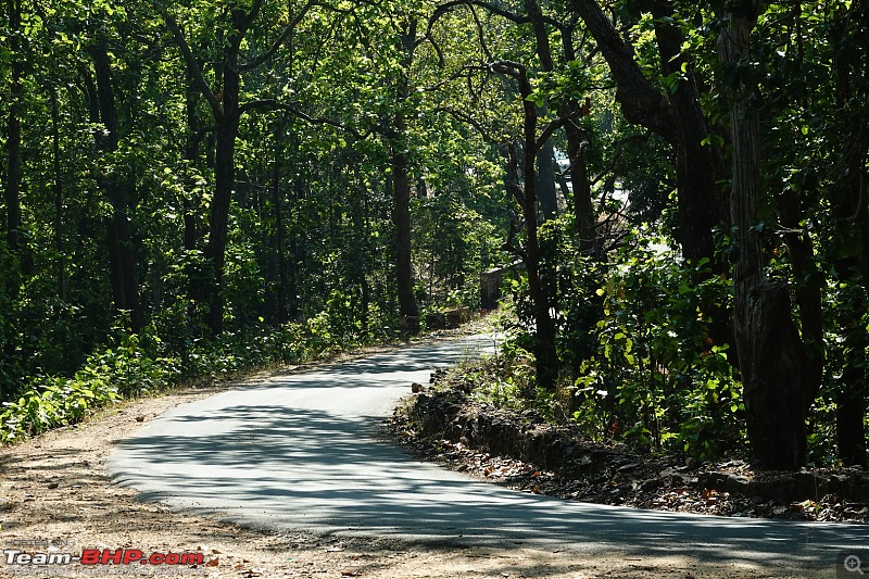 Diwali drive in a Toyota Fortuner - Bangalore to Delhi!-pachmarhi-roads.jpg