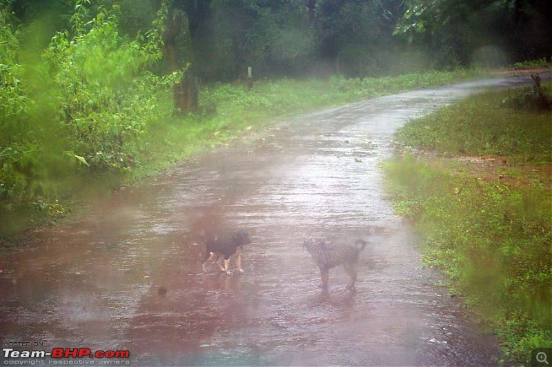 1800 kms 60 hours-rains-sirsi.jpg