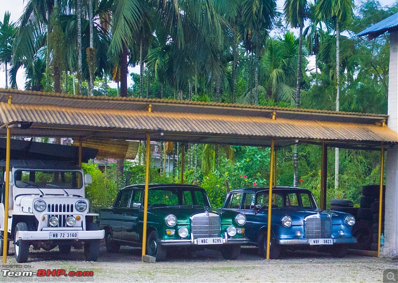 In the Villages of Kalimpong, WB-_dsc0572.jpg