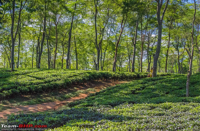 In the Villages of Kalimpong, WB-_dsc0583.jpg