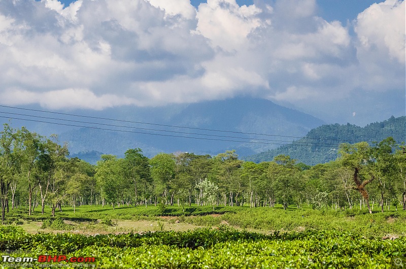 In the Villages of Kalimpong, WB-_dsc0586.jpg