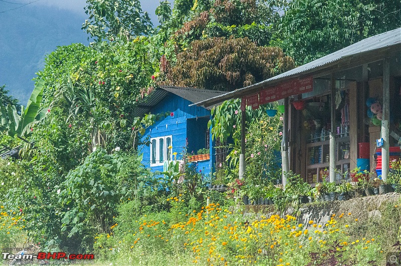 In the Villages of Kalimpong, WB-_dsc0591.jpg