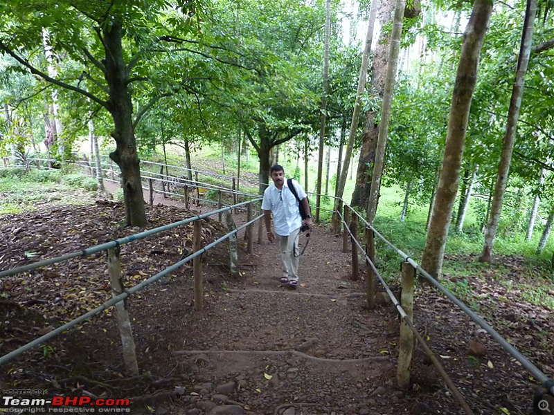 'Xing'ing around ! - Andaman & Nicobar and Tamilnadu.-034.jpg