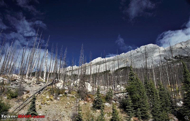 Camping in the majestic Rockies-23.jpg