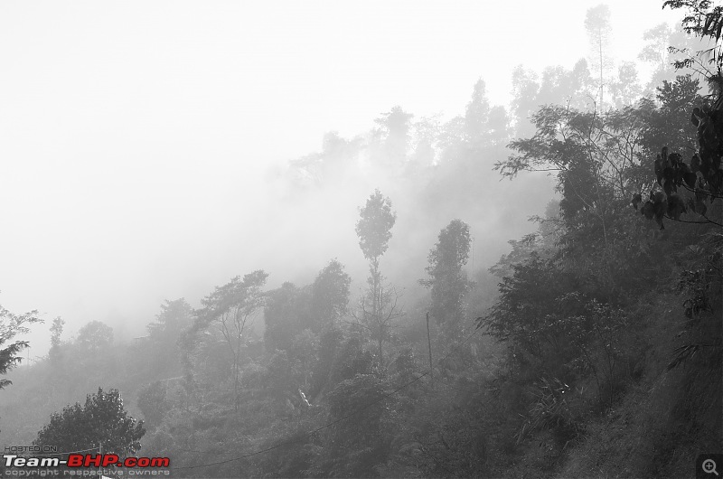 In the Villages of Kalimpong, WB-_dsc0660.jpg
