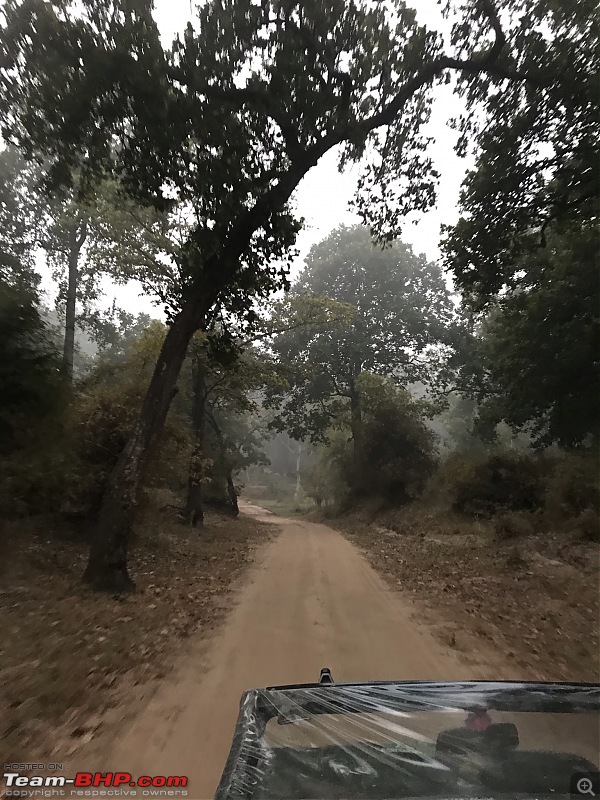 A 3700 km road-trip into the jungles, hills and villages of magnificent Madhya Pradesh-safari-trail.jpeg