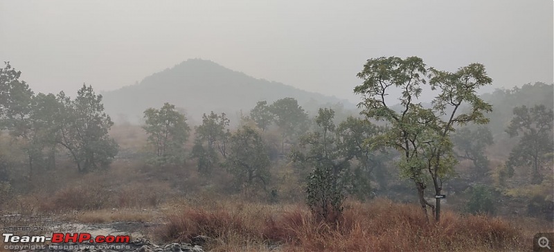 A 3700 km road-trip into the jungles, hills and villages of magnificent Madhya Pradesh-sitamandap-tigress-spot.jpg