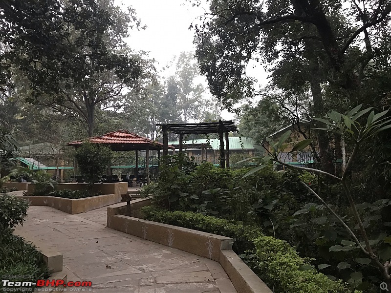 A 3700 km road-trip into the jungles, hills and villages of magnificent Madhya Pradesh-beautiful-mpt-lodge.jpeg