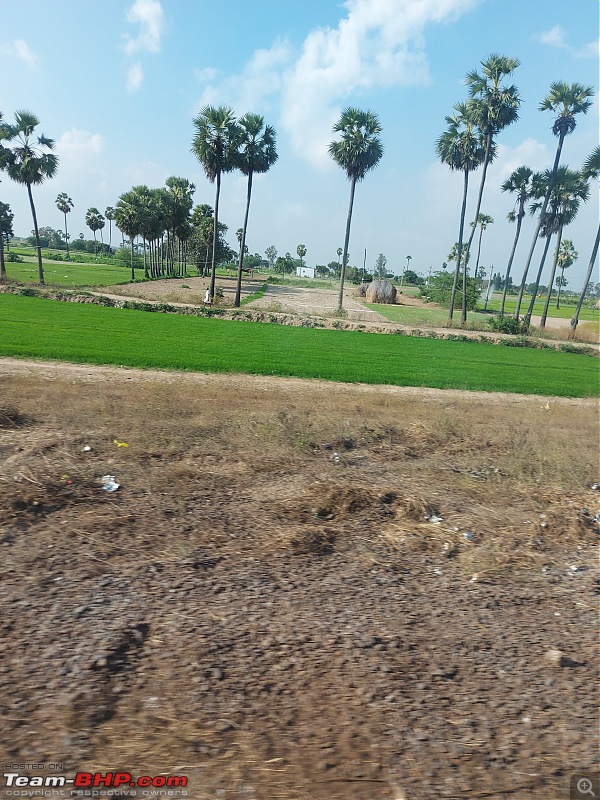 The road less travelled : 2,100 km train journey from Tamil Nadu to Gujarat-bpt_lushgreen.jpg