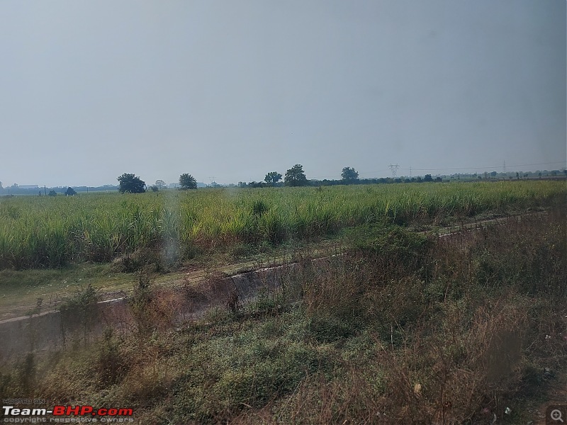 The road less travelled : 2,100 km train journey from Tamil Nadu to Gujarat-bardolichalthan_sugarcanefarm.jpg