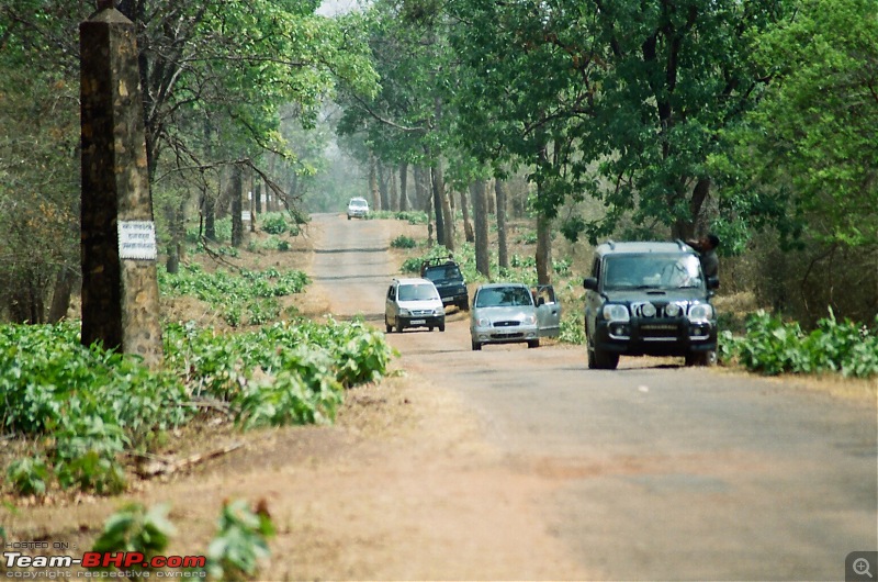 A visit to the Sher khans den- Tadoba Andhari tiger reserve.-73110027.jpg