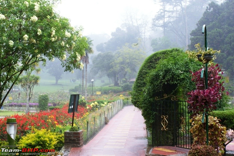 An incredible road trip to Velankanni, Kodaikanal and Ooty-d-bryant-park-.jpg