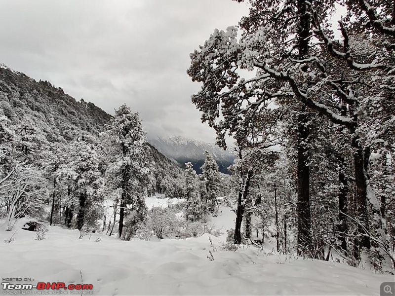 Winter Trek Diary | Trekking & Camping at Dayara Bugyal-photo20210114215608-2.jpg