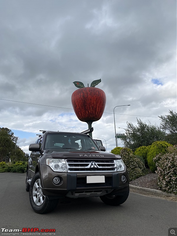 Pet-friendly travel escape to tranquil Stanthorpe (Australia) in a Pajero-img_6342.jpg