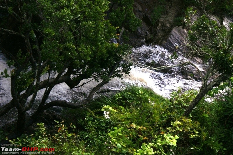 An incredible road trip to Velankanni, Kodaikanal and Ooty-g-waterfall_pillar-rocks-1.jpg