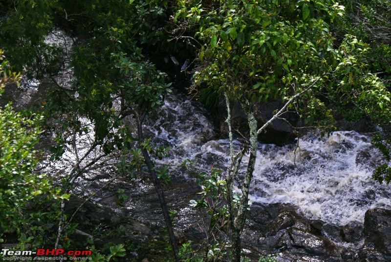 An incredible road trip to Velankanni, Kodaikanal and Ooty-g-waterfall_pillar-rocks-2.jpg