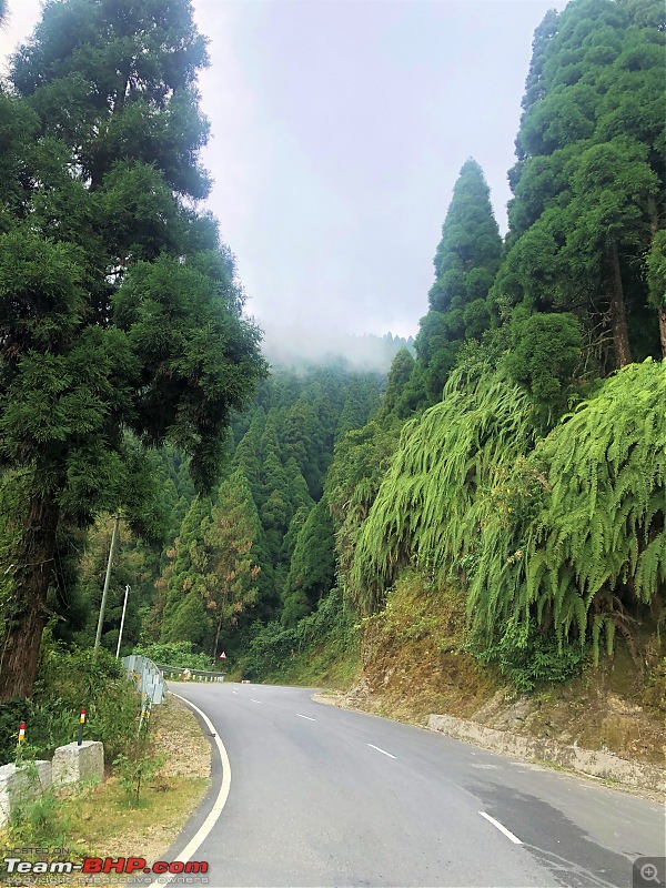 In the Villages of Kalimpong, WB-09.-fauna-roads.jpg