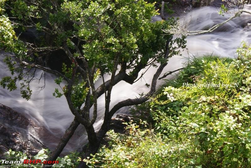 An incredible road trip to Velankanni, Kodaikanal and Ooty-g-waterfall_pillar-rocks_power-digital-photography-8.jpg