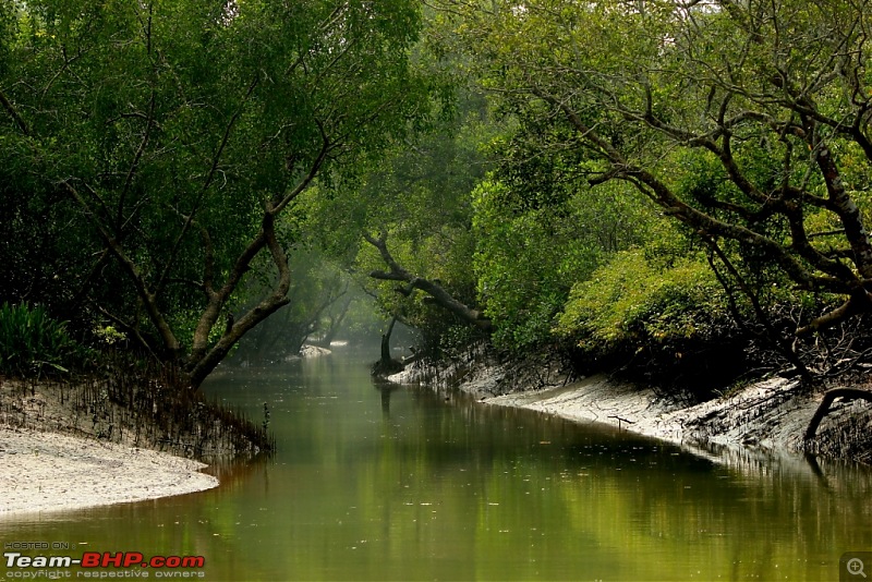 Drive from Calcutta to the land of Crocodiles, Bhitarkanika-img_0130-compressed.jpg