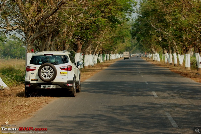 Drive from Calcutta to the land of Crocodiles, Bhitarkanika-img_9903-compressed.jpg