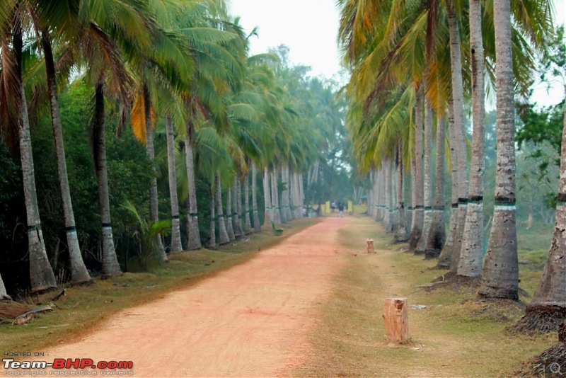 Drive from Calcutta to the land of Crocodiles, Bhitarkanika-img_9962-compressed.jpg