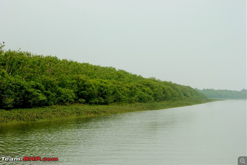 Drive from Calcutta to the land of Crocodiles, Bhitarkanika-img_0079-compressed.jpg