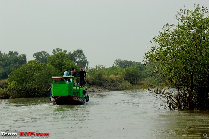 Drive from Calcutta to the land of Crocodiles, Bhitarkanika-img_0108-compressed.jpg