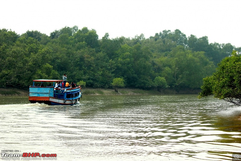 Drive from Calcutta to the land of Crocodiles, Bhitarkanika-img_0144-compressed.jpg