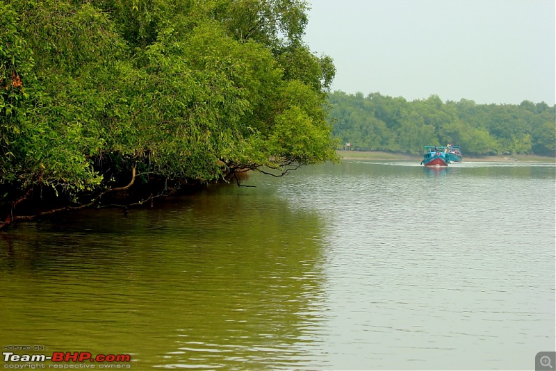 Drive from Calcutta to the land of Crocodiles, Bhitarkanika-img_0148-compressed.jpg