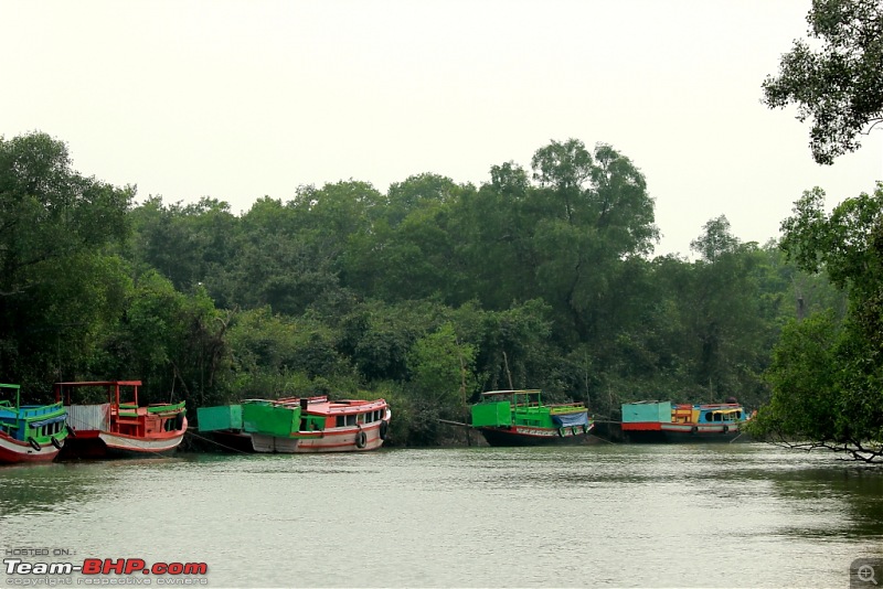 Drive from Calcutta to the land of Crocodiles, Bhitarkanika-img_0299-compressed.jpg