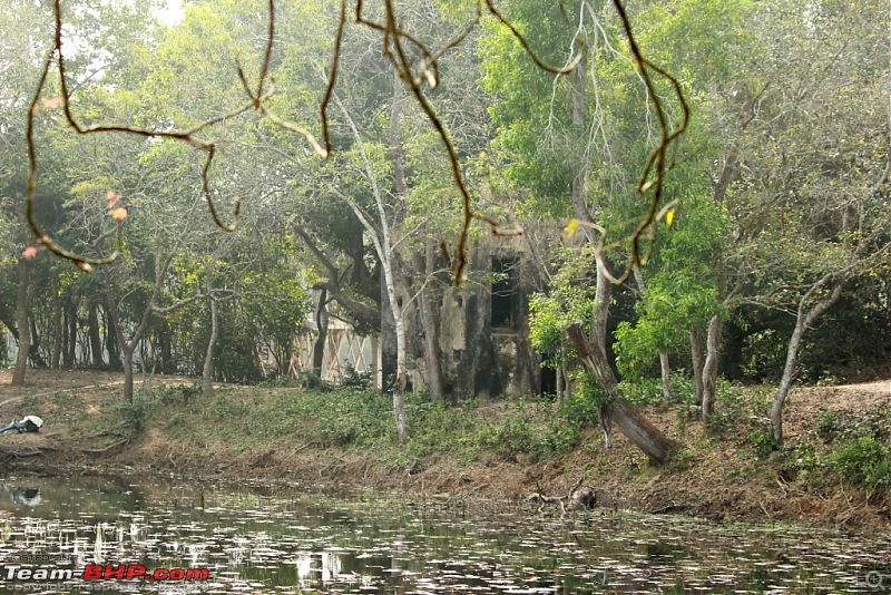 Drive from Calcutta to the land of Crocodiles, Bhitarkanika-img_0194-compressed.jpg