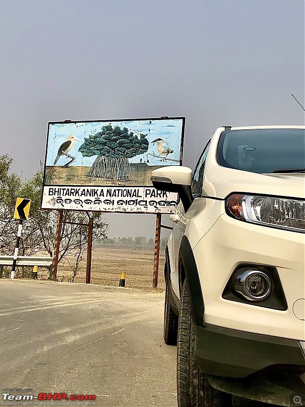 Drive from Calcutta to the land of Crocodiles, Bhitarkanika-c07c3b72f51b4451aef4a85a2dce1649.jpeg