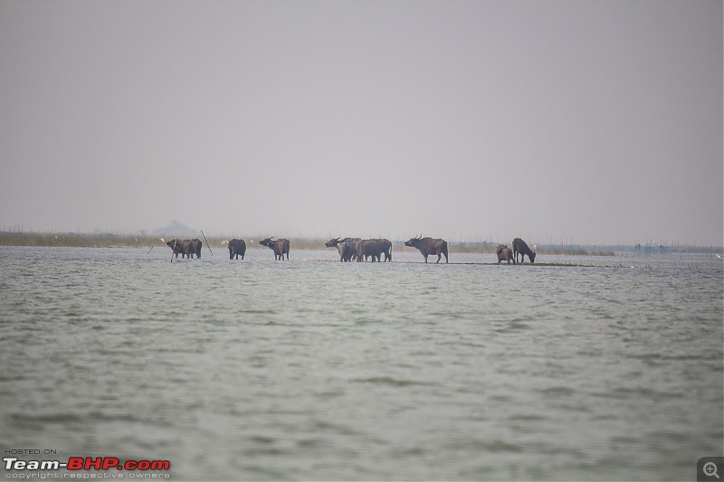 Quick vacay to Puri in a Creta-_mg_0055.jpg